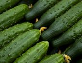 ��� � ����� ���������� ������ �����?