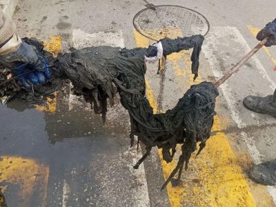 � ����������� �������� ����� ����� ����� �������� ������