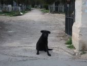 ����� 5 ���. ��������� ����� � ����� ������������� � ������� � ������������ �����  � 2025 ����