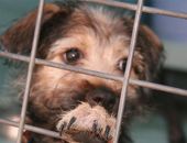 � ������ �������� �������� ��������� �����