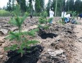 � ����� �������� ������ ��� ������� ������������� ������� 