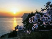 ����� � ����� ��������� ������ ��������