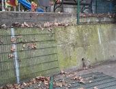 � ���� ������� ����� � ������, ������������� �� ������ �����