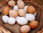 �� ����� � ����� ������ ����� ���������� ���� 