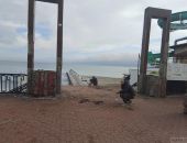 ������ �� ���������� �������� �������� �������