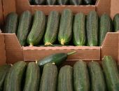 � ������ ������ ������������ ������� ������� � ���� ����