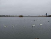  � ����������� ������ �� �������� ���� ������� ������