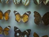 � ����� � ������ ���������� ������ ��������� ����� ������������� ������� � �����