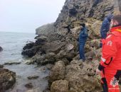 �������� ��������� ���������� ������ ��������� � �������� ���� �������