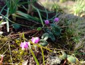 � ����� ������ ������ ��������