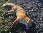 � ������ ���������� ���������� ���������� ���