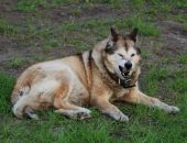 �������� �����������, ������� �������� ��������� ������, �������� 300 ����� ������