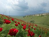  ��������� ���� � ������ �������� � ����� ����� �� ������� ������ ������