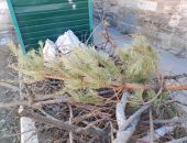 � �������� ��������� ����� ������� ����