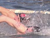 � ����������� ������ ������ ������� � ����