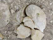 � ����������� ����� �������� ������������ ��������