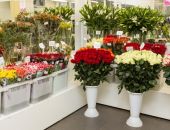 � ������ ���������� �����