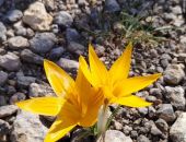 � ����� ����� ������� �������