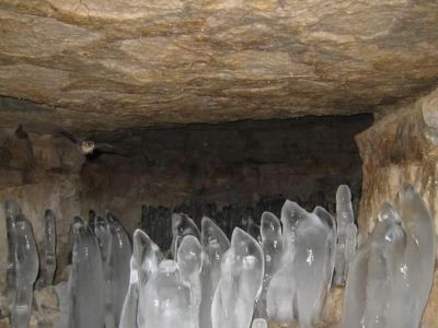 � ��������� ��������� ��������� ��������� �� ��������� ������������