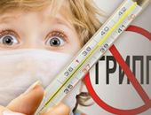 �������������� ������� � ���� � �������� �������� �������