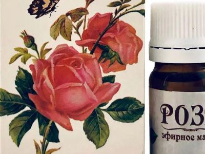 � ����� ��������� ������������ ������������ ������� �����