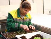 60 ����� ������� � ������� ��������� � ������� ���������� � ����������� 