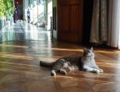 ��� � ����� ����� �������� ����