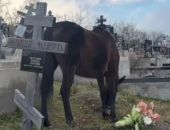 �� �������� � ����� ���� ���������� ������