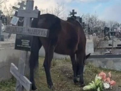 �� �������� � ����� ���� ���������� ������