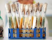 � ����� ����������� ���������� ������������ ��� ��������� ������