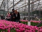 � ����� �������� 8 ����� �������� ��������� � ������� ���������