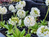 � ���� � 8 ����� �������� 3 ������ ������