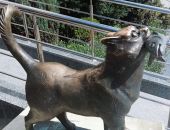 �������� ����-������ �������� ������ ��������