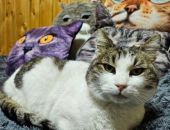  ��������� ����� ���� �������� ������ �������� ���� �������� � ������ ������