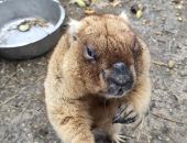 � �������� �������� ���������� �������: ����� ���������!