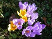 ����������: ���� � ����� ����� � ������������