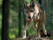 �������� ���������� � ���������� ������ � ����� � �� ���������