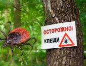 ����� �������� ����� 50 ������� � ����� � ������ ����