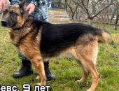 �������� ����������� �������� ����  ����� ������ ��� ���� ��������� �����, ��������� �� ��������