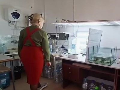 ������ ����� �������, ��� ������� ��������� ��������� �� �����������