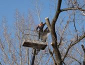 ��� � ����� ���� �������� ������� ������