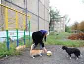 ������� ��������� �������� ����� �� ���������� �� ����� ��� ������ �� ����� �����