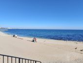 ������������ �������� ������