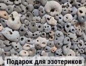 23 ���������� "�������� ����" ������� � ���� ����� �� �������