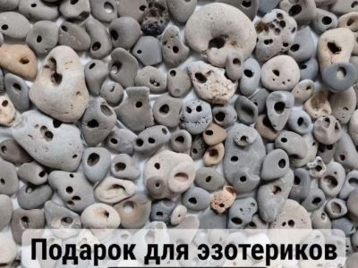 23 ���������� "�������� ����" ������� � ���� ����� �� �������
