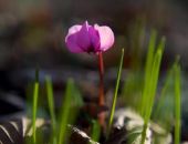 � ����� ������ ��������� �������� ��������� 