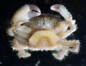 � �������� ���� ���������� ��������� ����� �� ���