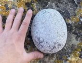 ����� ������� ��������� �� ������� �� 1 ��� ������ � �����