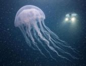 �� �������� ����� ������� �������� �������� ��� ����������� ������