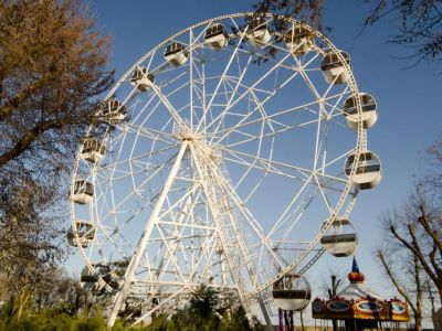� ���������  ����������� ������ ���������